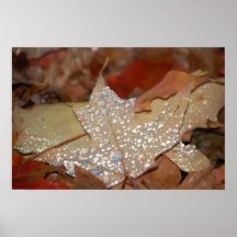 Fall Leaf Poster