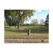 fall leafy postcard