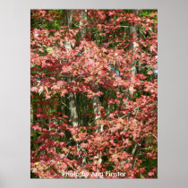 Fall Leaves / Boston, Massachusetts Poster