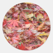Fall Leaves Circular Sticker