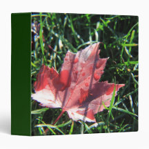 Fall leaves, green grass 3 ring binder
