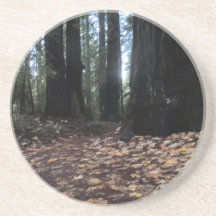 Fall Leaves in the Forest- Humboldt Redwoods Coasters