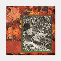 fall Leaves Magnet