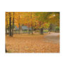 Fall Leaves Post Cards