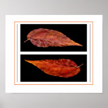 fall leaves poster