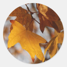 Fall Leaves Round Sticker