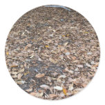 fall leaves round sticker