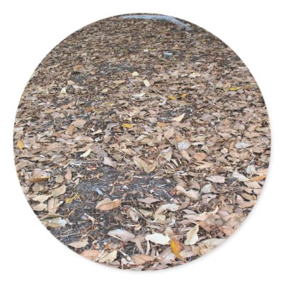 fall leaves round sticker by DonnaGrayson_Photos