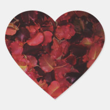 Fall Leaves Stickers