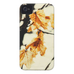 fall maple leaves iphone 4 case