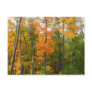 Fall Maple Trees Postcard
