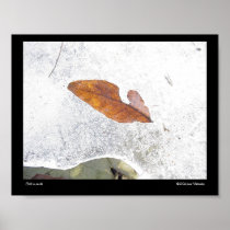 Fall on Hold Print