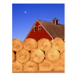 Fall on the Farm Postcard
