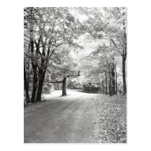 Fall Path Post Card