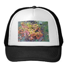 Fall poison ivy trucker hat