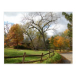 Fall Postcards