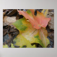 Fall Poster