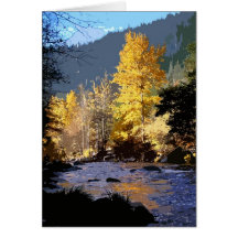 Fall Reflection Greeting Cards