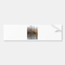 Fall Reflections 1 Bumper Sticker