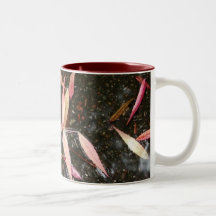 Fall Reflections Mugs