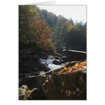 Fall River Card