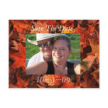 Fall Save the Date postcards