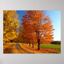 Fall Scene Poster
