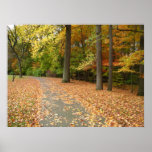 Fall Season Photo Posters