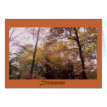 fall, Seasons Cards