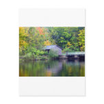 Fall Splendour Postcard