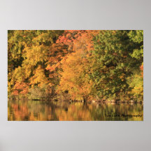Fall Splendour Print