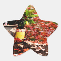 Fall Star Stickers