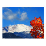 Fall Time in the Colourful Rocky Mountains Post Cards