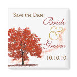 Fall Tree Save-The-Date magnets