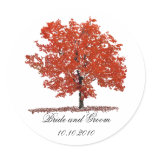 Fall tree