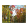 Fall Trees and Blue Sky Postcard