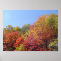 Fall Trees in the Smokies Posters