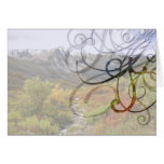 Fall Valley Card