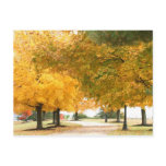 Fall walk postcard