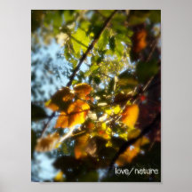 fallbrillblisso082ln poster