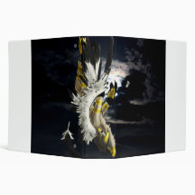 Fallen Angel BInder