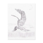 Fallen Angel Postcards
