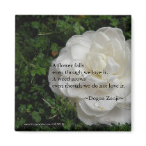 Fallen Camellia/ Zen Quote Refrigerator Magnets