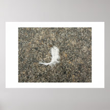 Fallen feather. poster
