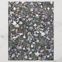Fallen leaves on grass full color flyer