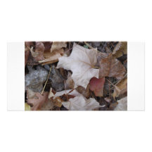 Fallen Leaves Picture Card