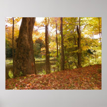Fallen Leaves Posters