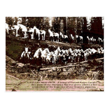 Fallen Monarch - Postcard