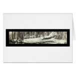 Fallen Monarch Yosemite Photo 1911 Card