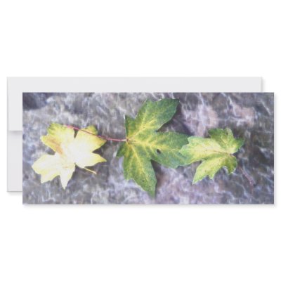 Fallen Custom Rack Card by Mgifts